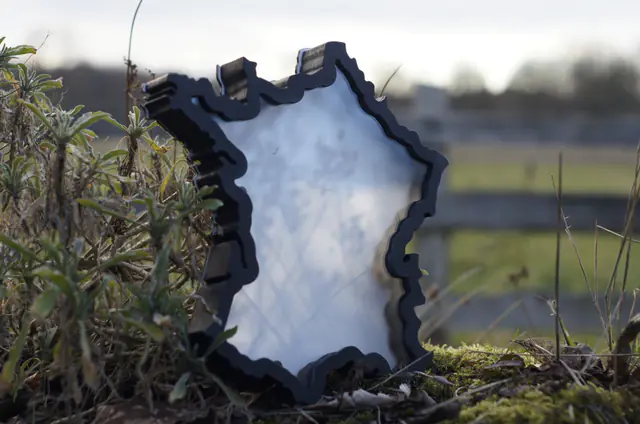 A black France Borderframe standing in the grass outdoors