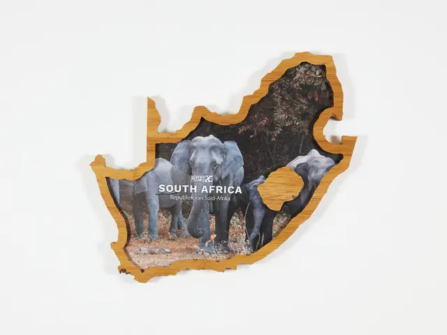 South Africa Borderframe with a photo of elephants
